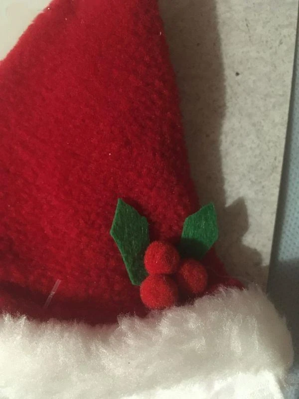 Gorro de Navidad para Perro Pequeño + Lazo para Perro - Navidad – photo 2